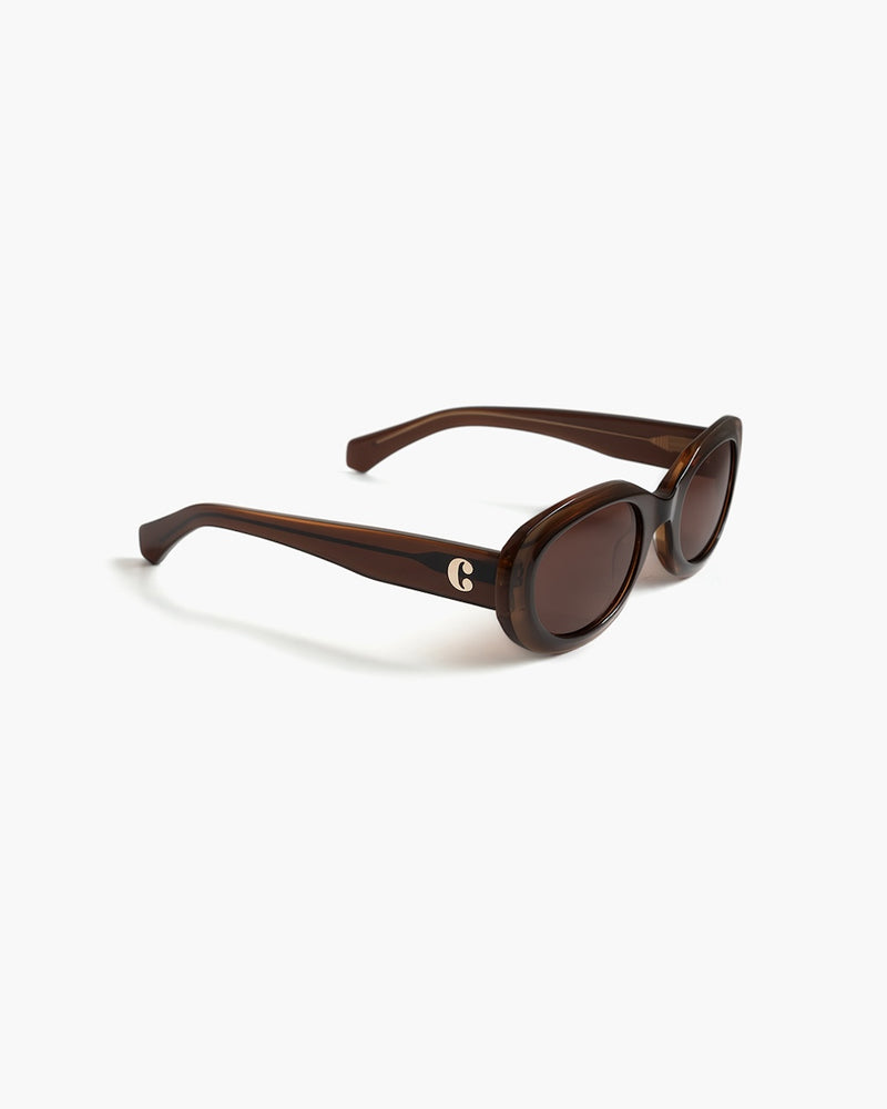 Carpi Sunglasses brown/brown