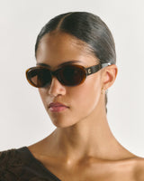 Carpi Sunglasses brown/brown